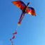 EDIWANY Rồng sống động như thật, Diều rồng bay tốt, Diều dài 100 mét Pterosaur Đồ chơi trẻ em Diều bay ngoài trời Kid & Adult