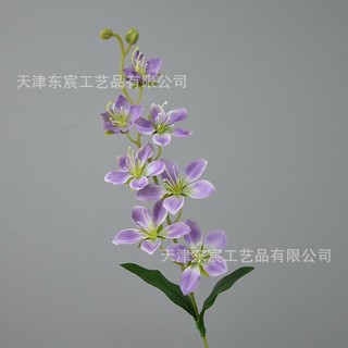 Cành hoa địa lan xinh xắn cao 70 cm,