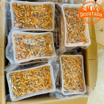 (100g) Đông trùng hạ thảo loại nguyên con sấy khô thăng hoa, nấm đông trùng hạ thảo Huy Cương pha trà ngâm rượu mật ong