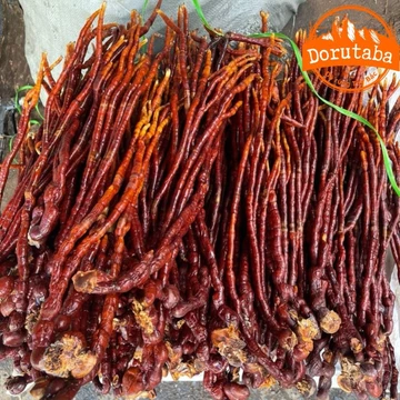 Nấm linh chi sừng hươu Tây Bắc sấy khô, thu hái rừng tự nhiên. Thảo dược quý nấm linh chi đỏ, sừng hươu, lim xanh