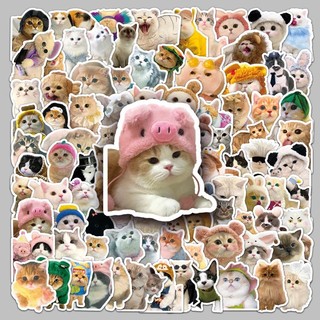 Bộ 50 Ngộ nghĩnh Mèo Meme Hoạt Hình Dán Kawaii Anime Chống Thấm Nước Vali Xe Đạp Đàn Guitar Notebook Đề Can Vui Vẻ Quà Tặng Cho Trẻ Em