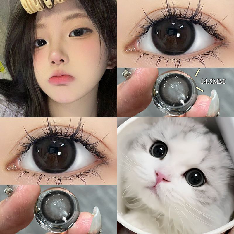 [0.00--6.00] Kính áp tròng Set 2 chiếc Ống kính áp tròng màu xám 14,5mm một năm 0,00---6,00 độ 019