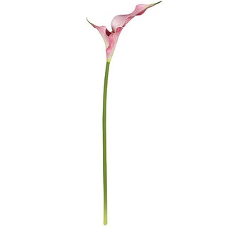 Cành hoa Calylili cánh đôi từ cao su mềm cao 60 cm