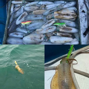 Tmoy Luya Mồi Mồi Tôm Dạ Quang Mực Móc Chân Mềm Tôm Có Vòng Hạt TCVN