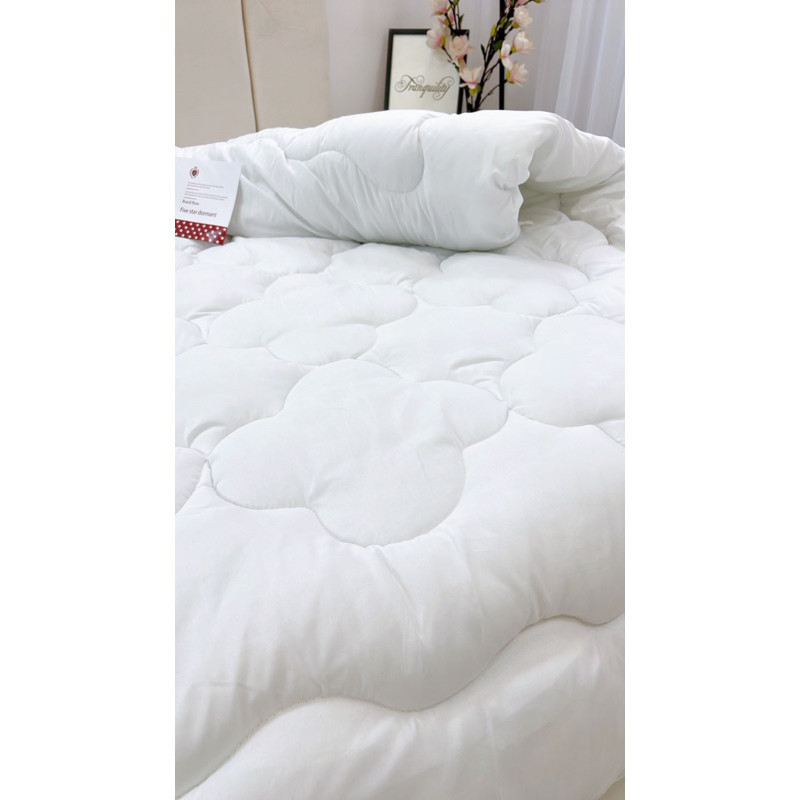 (CH16)Ruột chăn mền cao cấp Mềm Mịn Bedding, chăn mền hè, thu đông, chăn phao dày đại hàn kích thước 2mx2m2