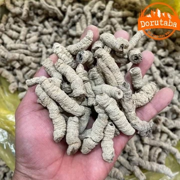 Ba kích khô rút lõi rừng Quảng Ninh ngâm rượu loại 1 (200g, 500g, 1kg) từ ba kích tươi giảm đau lưng đau nhức xương khớp