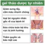 Nhật Bản Kem thảo dược bôi trĩ co búi trĩ giảm đau do trĩ