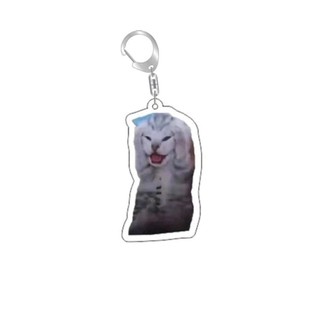Rambling dê huh mèo Meme Keychain nhầm lẫn mèo memes mèo la hét với bàn chân trên đầu của nó món quà dễ