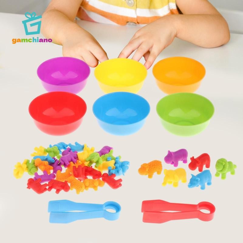 Trò chơi đếm gamchiano, Đồ chơi phân loại màu sắc, Đồ chơi học tập giáo dục, Cảm giác