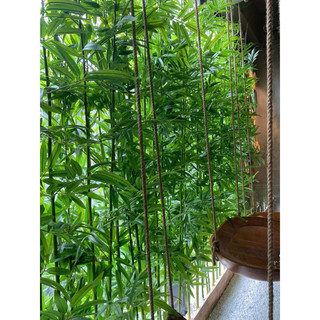cành trúc giả, cành trúc quân tử, cành trúc cắm hàng rào,  lucas decor