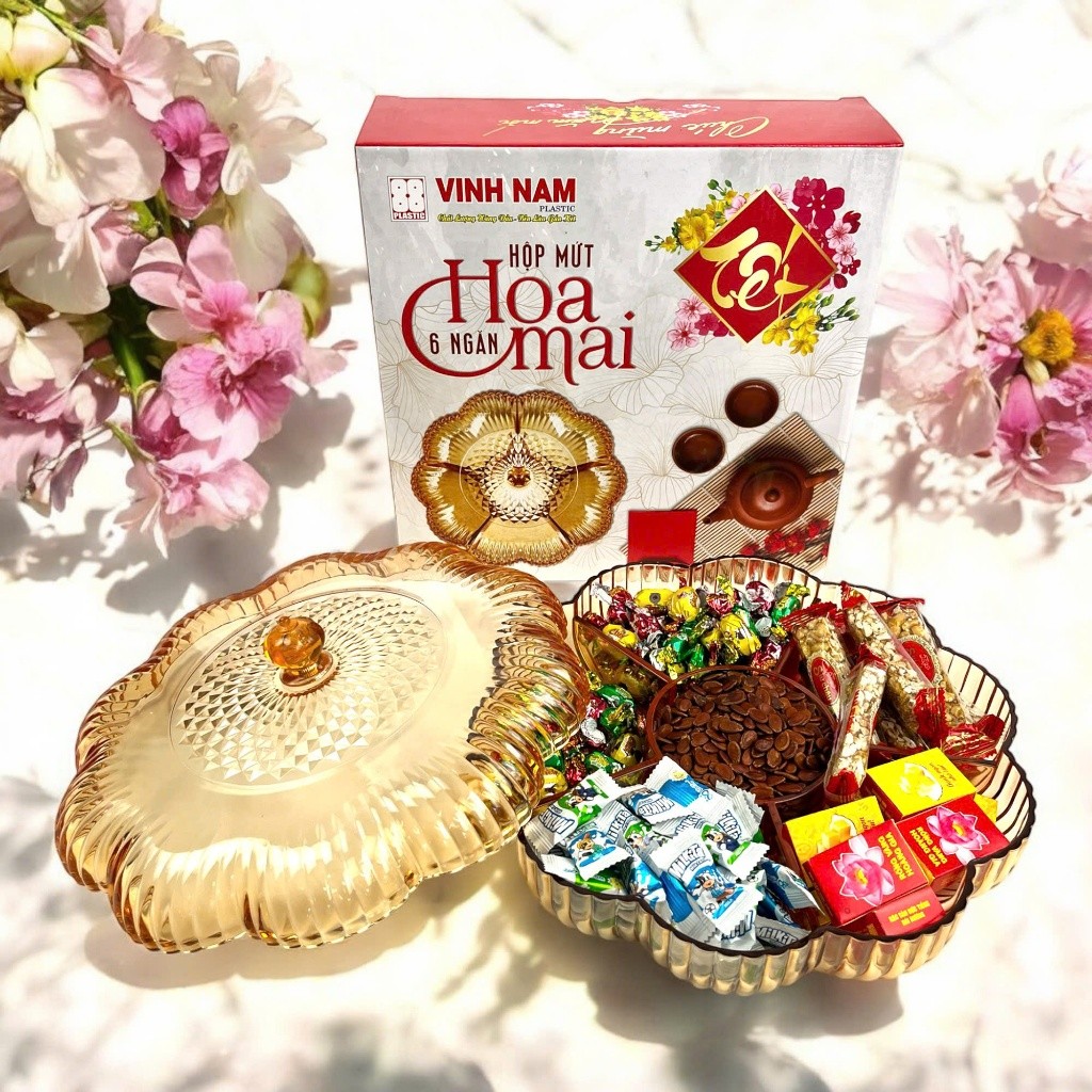 Bộ Sưu Tập Hộp Mứt Tết Cao Cấp Vinh Nam Plastic Hộp Bánh Kẹo Sang Trọng Khay Đựng Mứt Bánh Tết