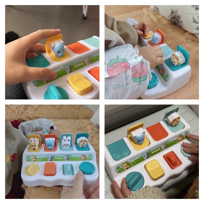 Hộp ú oà mở ra con vật ngộ nghĩnh, trau dồi tư duy logic, giáo dục sớm, Đồ chơi Montessori từ 1 - 3 tuổi