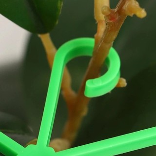 4 / 8 Chiếc Hộ Gia Đình Trong Suốt Thân Hỗ Trợ Alocasia Monstera Lá Hỗ Trợ Cây Nho Kẹp Dụng Cụ Làm Vườn