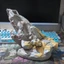 Trang trí thủ công Rock Scene Platform Bể cá Cảnh quan Handmade diy Magic Change Material pvc Số lượng lớn Cargo Base Model