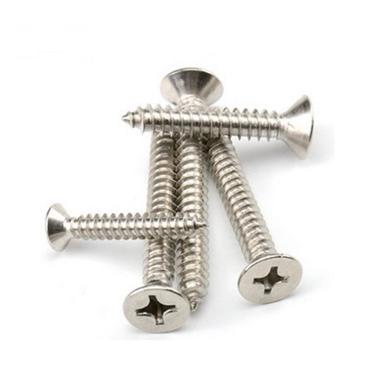 Vít Gỗ Đầu Bằng Inox 304 - Vít Nhọn Inox (10 con) | Shopee Việt Nam