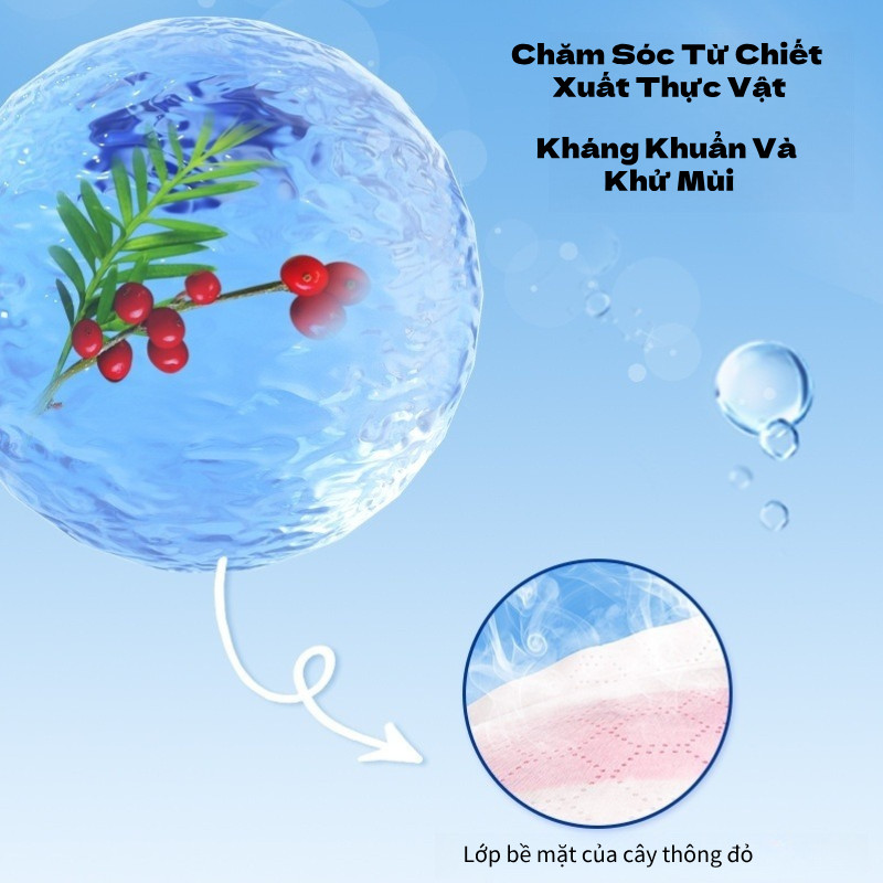 Băng Vệ Sinh Quần Một Lần Bỉm Quần Cho Mẹ Sau Sinh Co Giãn Mềm Mại Và Thân Thiện Với Da Phụ Nữ Đến Tháng
