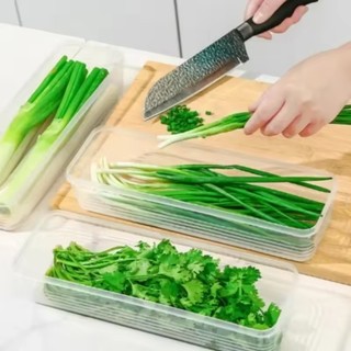 3 / 5 / 10 Cái Hộp Bảo Quản Sò Hình Chữ Nhật / Thực Phẩm Trong Suốt Hộp Giữ Tươi Có Nắp