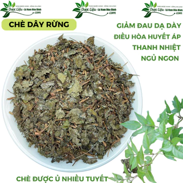 Chè dây Cao Bằng Tốt cho dạ dày sao vàng hạ thổ ủ tuyết Chè dây khô trà dây Rừng thanh nhiệt CD Thảo dược