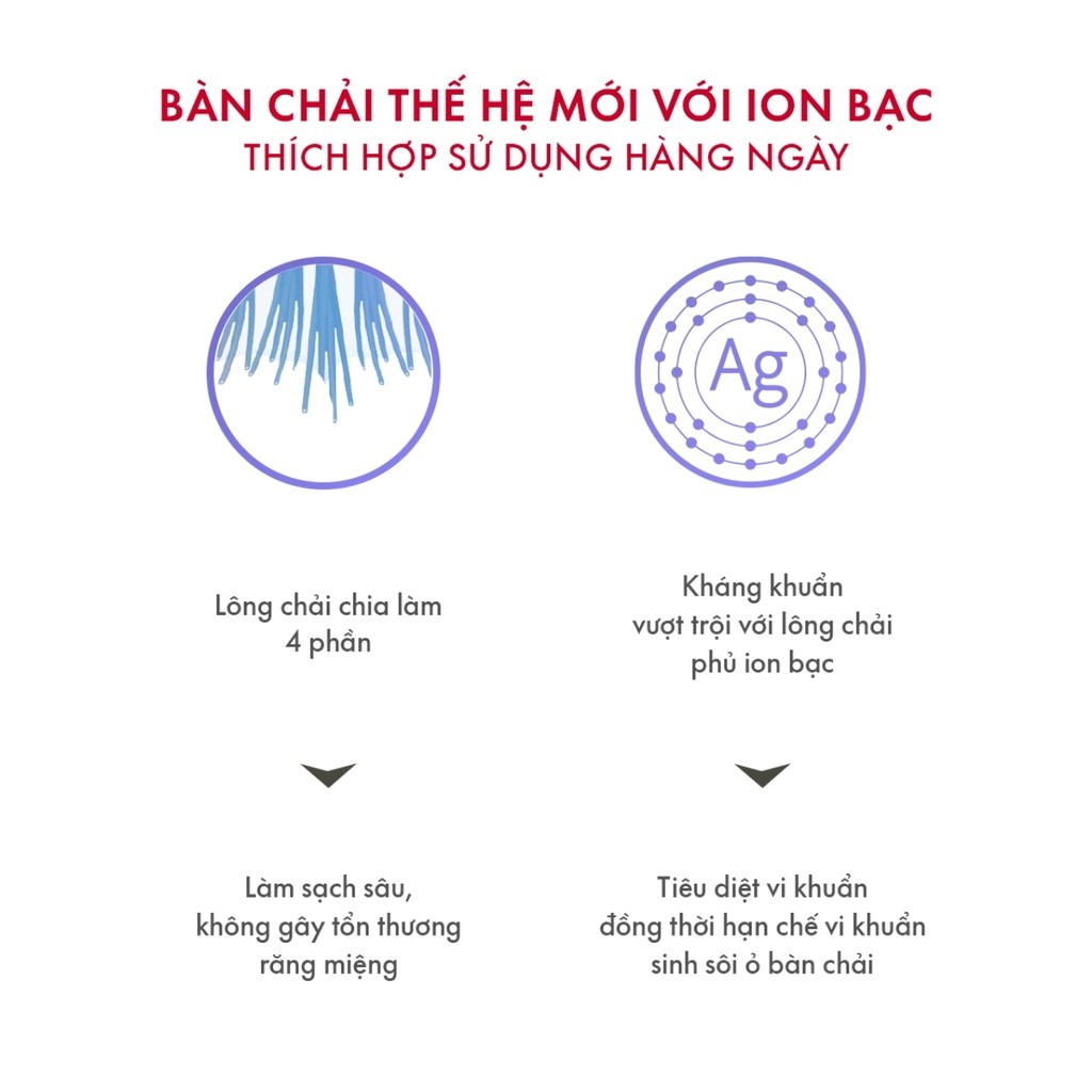 Mô tả Combo Trắng Răng Êm Ái Cho Răng Nhạy Cảm-1 kem đánh răng than hoạt tính Blackwood & 1 bàn chải đánh răng Sensitive Xanh - 3