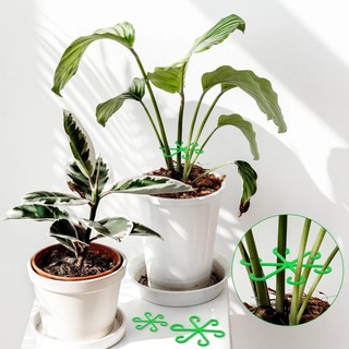 4 / 8 Chiếc Hộ Gia Đình Trong Suốt Thân Hỗ Trợ Alocasia Monstera Lá Hỗ Trợ Cây Nho Kẹp Dụng Cụ Làm Vườn