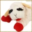 Thú cưng búp bê sang trọng, Thắt lưng âm thanh đồ chơi, Búp bê cừu Alpaca Đồ chơi sang trọng