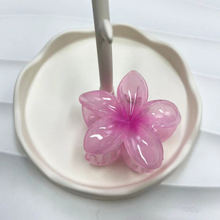 Frangipani Vuốt Tóc Barrettes Tính Khí Đa Năng Phụ Kiện Tóc Mũ Đội Đầu