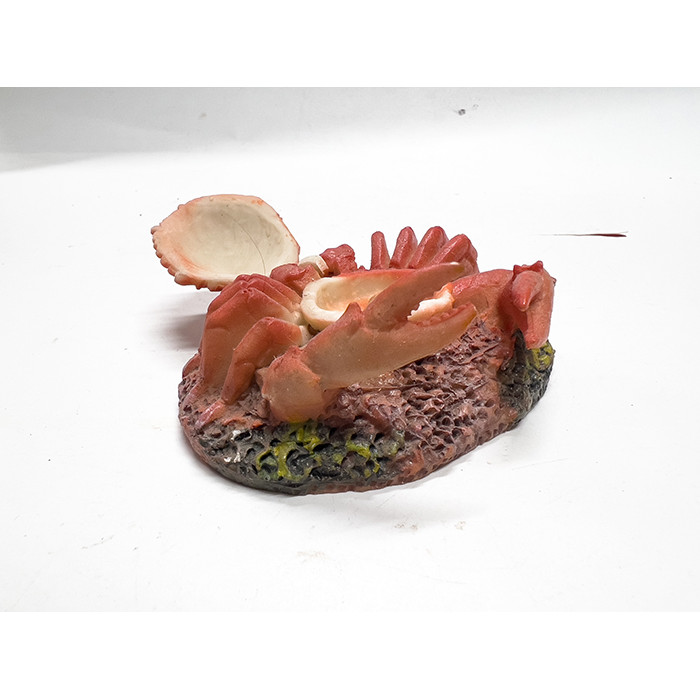 Cua Đóng Mở Nắp Trang Trí Bể Cá Cảnh (9x6x3cm)
