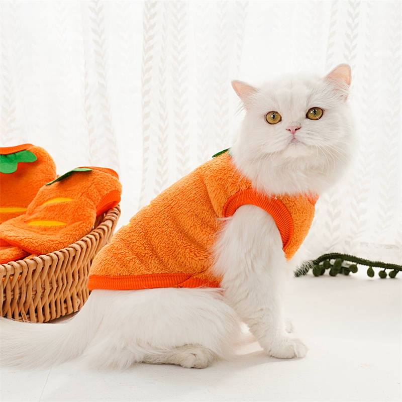 【Ready Stock】 Autumn and Winter Dog Clothes Flannel Bichon Teddy Corgi Puppy Cat Small and Medium-Sized Dogs Warm Pet Clothing y9sF