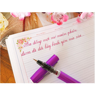 Bút máy luyện chữ đẹp, nét thanh nét đậm, lá tre nhỏ LETA 369 ( mẫu mới).