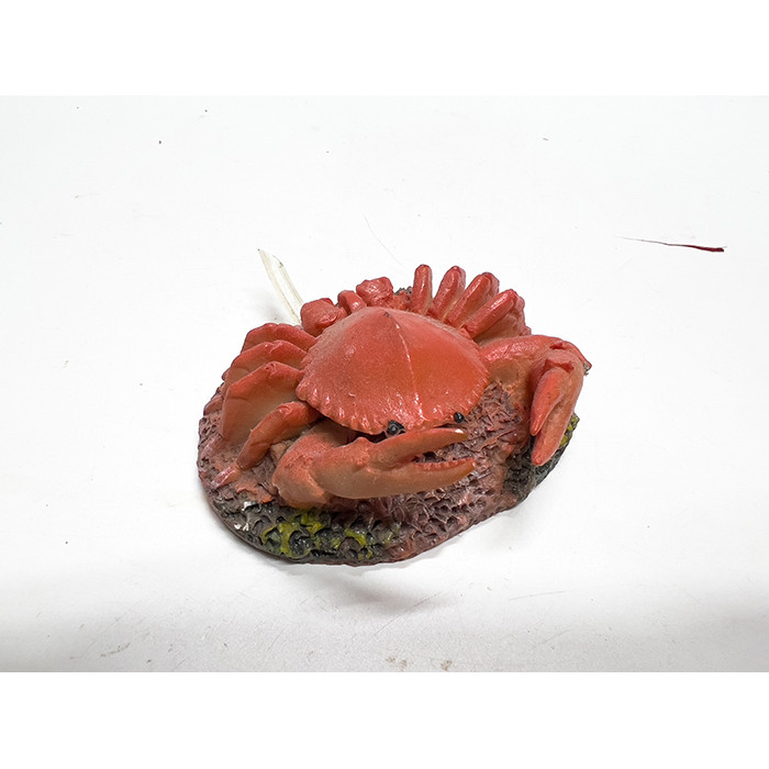 Cua Đóng Mở Nắp Trang Trí Bể Cá Cảnh (9x6x3cm)
