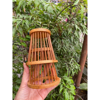 Chống ngoái chim cảnh, rọ chống ngoái chim cảnh tre già
