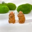 2 Chiếc Dạ Quang Capybara Nhựa Thu Nhỏ Phát Sáng Vào Ban Đêm Cổ Tích Trang Trí Sân Vườn DIY Trang Trí Các Bức Tượng Nhỏ Dễ Thương Trang Trí Bàn Làm Việc EMKK