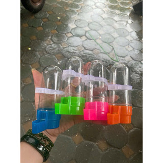Bình uống nước tự động chất liệu mica   phụ kiện lồng chim chào mào, chích choè cao cấp