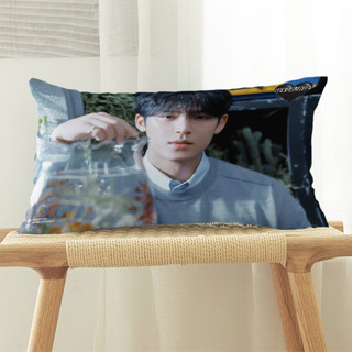 Hàn Quốc Pop Boy Group Seventeen Một Mặt In Hình Gối Polyester Đệm Ô Tô Trang Trí Sofa Nhà (Không Có Lõi Gối)