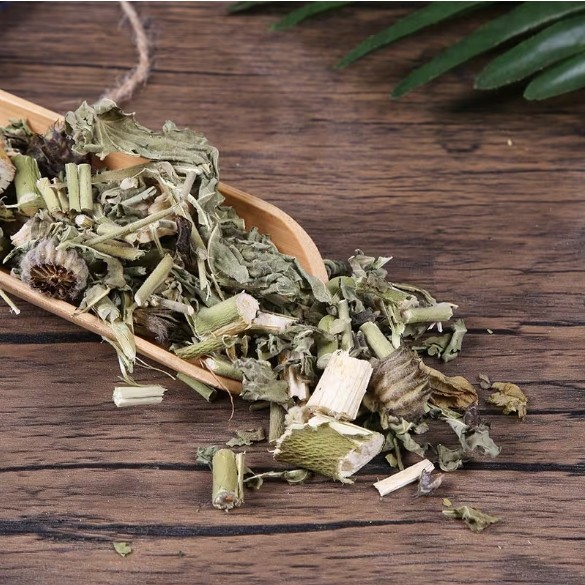 Cây cối xay giảm căng thẳng lo âu