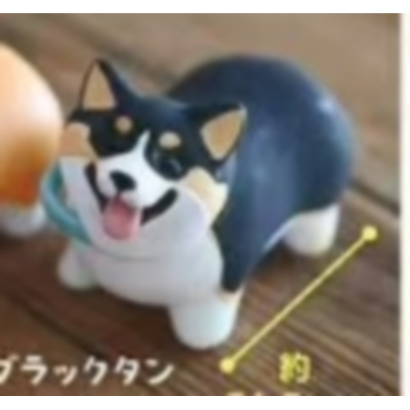 [BTF] Hàng có sẵn Đồ chơi viên nang STASTO Nhật Bản Đồ trang trí chó con Corgi ngắn chân 6F0N dễ thương sẽ không về nhà