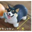 Hàng có sẵn Đồ chơi viên nang STASTO Nhật Bản Đồ trang trí chó con Corgi ngắn chân 6F0N dễ thương sẽ không về nhà