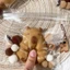 Đồ chơi ghim Capybara SMILE, Đồ chơi bóp TPR Capybara, Đồ chơi dễ thương mềm mại phục hồi chậm Capybara Vent Toy