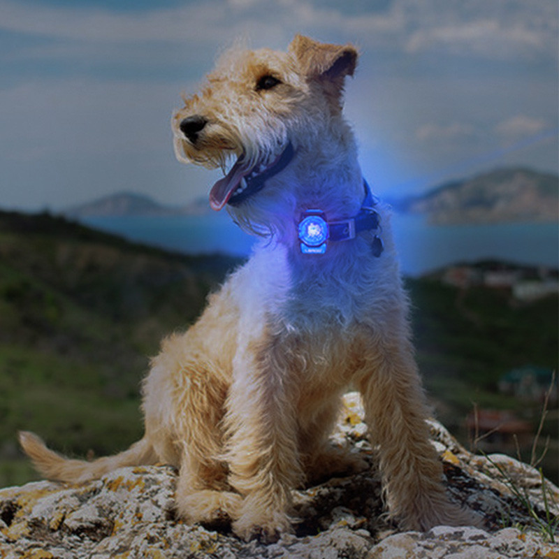 HamshMoc Pet Đèn LED Chống Mất Chống Nước Chó Dạ Quang Mặt Dây Sạc USB Với 3 Chế Độ Cho Chó Cổ Dây Xích Phụ Kiện