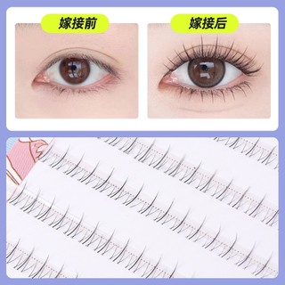 Bộ sưu tập mi dưới trong suốt hình ngọn lửa nhỏ