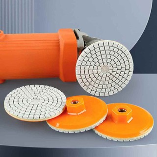 Đĩa mài đĩa chà nhám đánh bóng đá hoa cương , gạch , bê tông 100mm ALINE