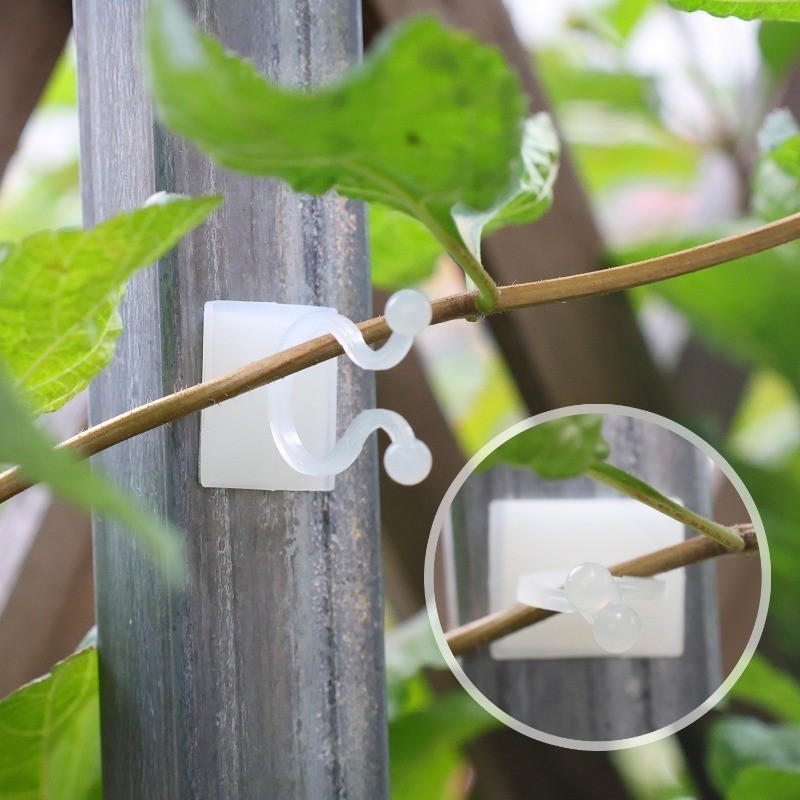 Kẹp cố định thân cây tự dính - Kẹp cố định treo tường leo cây - Lực kéo cây nho - Giá buộc cành hoa - Dụng cụ làm vườn