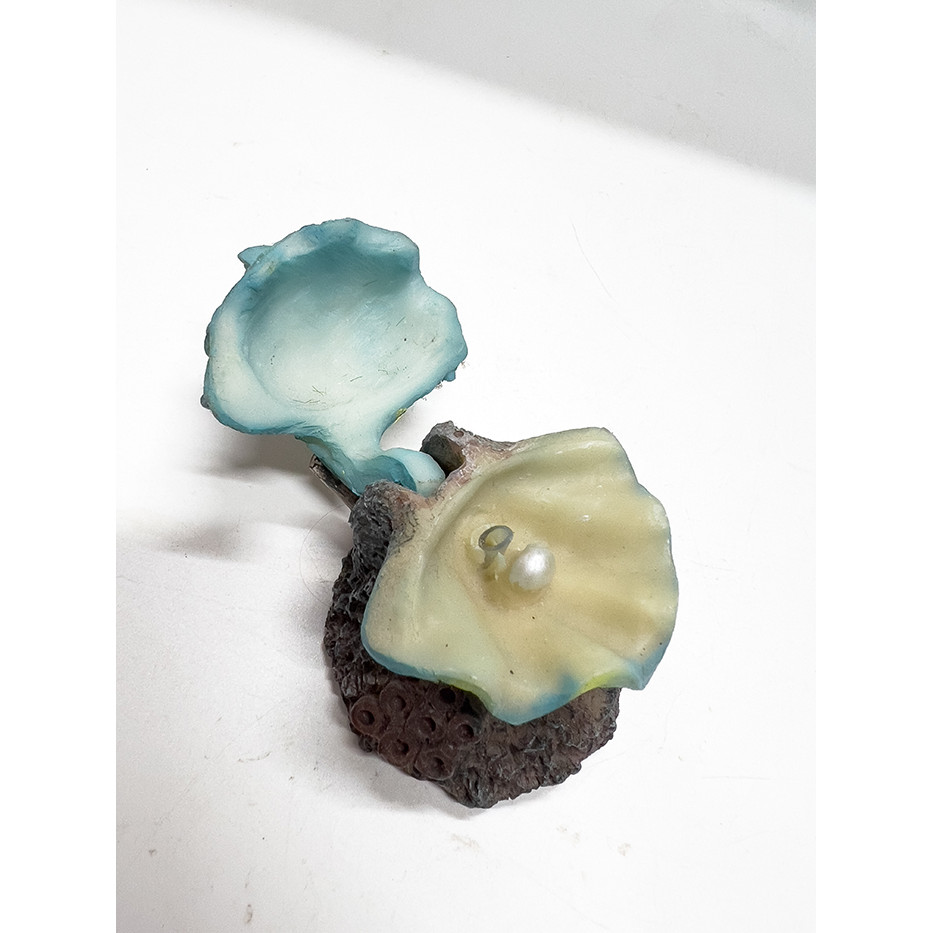 Vỏ Sò Óc Đóng Mở Nắp Trang Trí Bể Cá Cảnh (6x5x5cm)