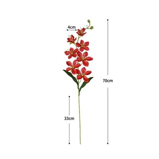 Cành hoa địa lan xinh xắn cao 70 cm,