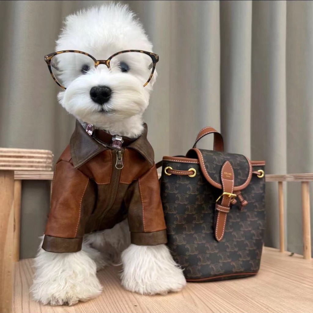 Quần áo cho chó Thu Đông Ấm Schnauzer Poodle Áo khoác vừa