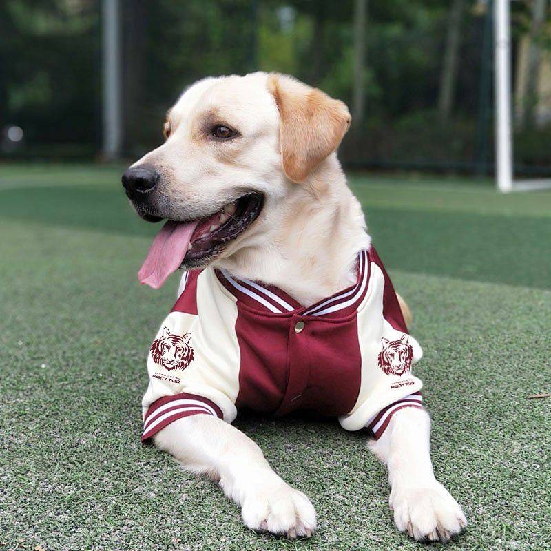 【Ready Stock】 Dog Clothes Autumn and Winter Fleece-lined Warm Large Dog Medium-Sized Dog Winter Labrador Golden Retriever Samo Autumn Winter Sweater hc5U