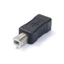 Bộ chuyển đổi nam máy in Niki USB C Mini5P sang USB B cho máy quét và đàn piano điện