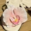 MARGREDY 1 Cặp Khóa Giày Hoa Bướm Cổ Tích Thái Lan, Thiết Kế Cá Tính Trang Trí Giày Phalaenopsis Xăng đan Hoa, Mô Phỏng Phụ Kiện Giày Hoa Ngọt Ngào