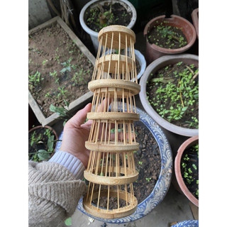 Chống ngoái chim cảnh, rọ chống ngoái chim cảnh tre già