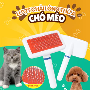 Lược chải lông- đánh lông xù cho Chó Mèo loại rẻ đẹp